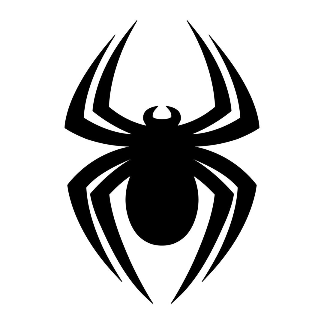 Spider Bug Insect graphic Spider Bug Insect graphic